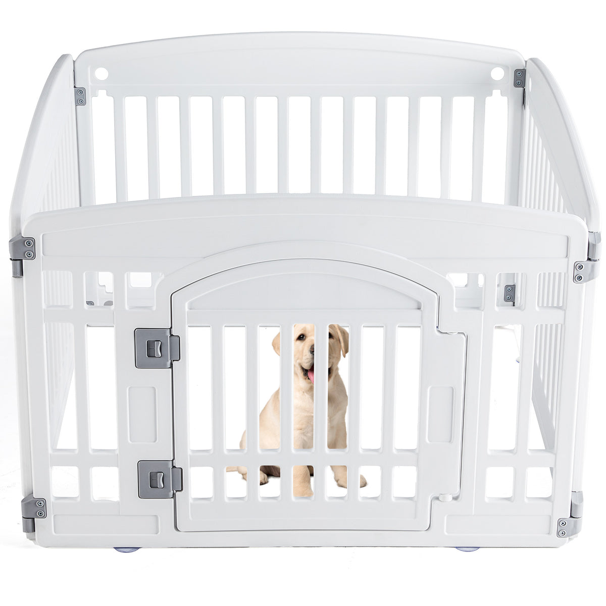 White pet playpen with a puppy inside on a white background
