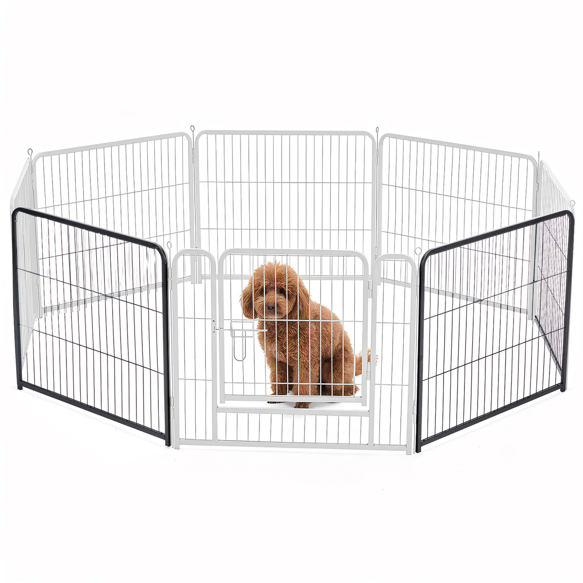 Dog inside a metal pet playpen on a white background