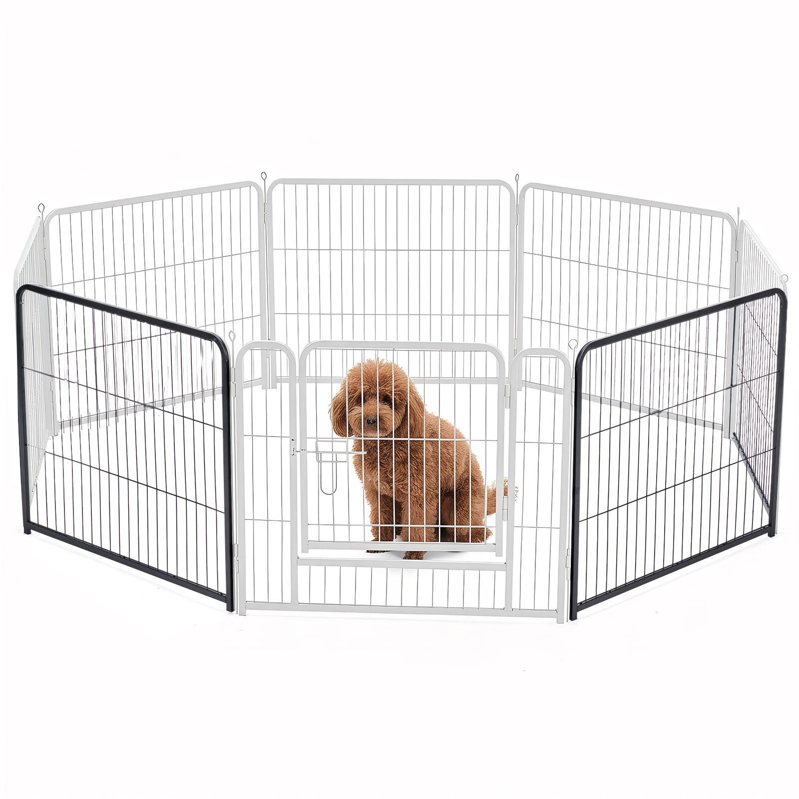 Dog inside a metal pet playpen on a white background