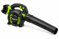 TAILZO Compact Cordless Electric Air Blower with 2 Rechargeable Batteries Lightweight Handheld Cleaning Tool - product image 1