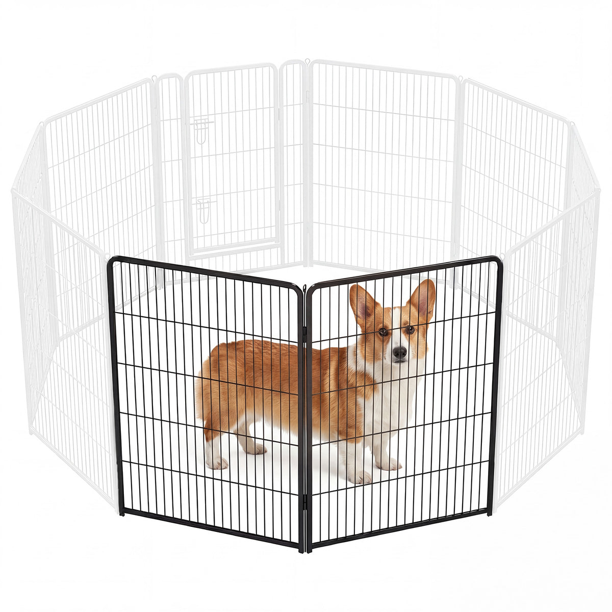 Dog standing inside a wire pet playpen on a white background