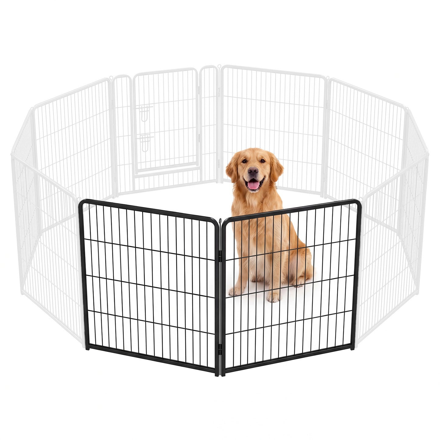 Dog inside a wire pet playpen on a white background
