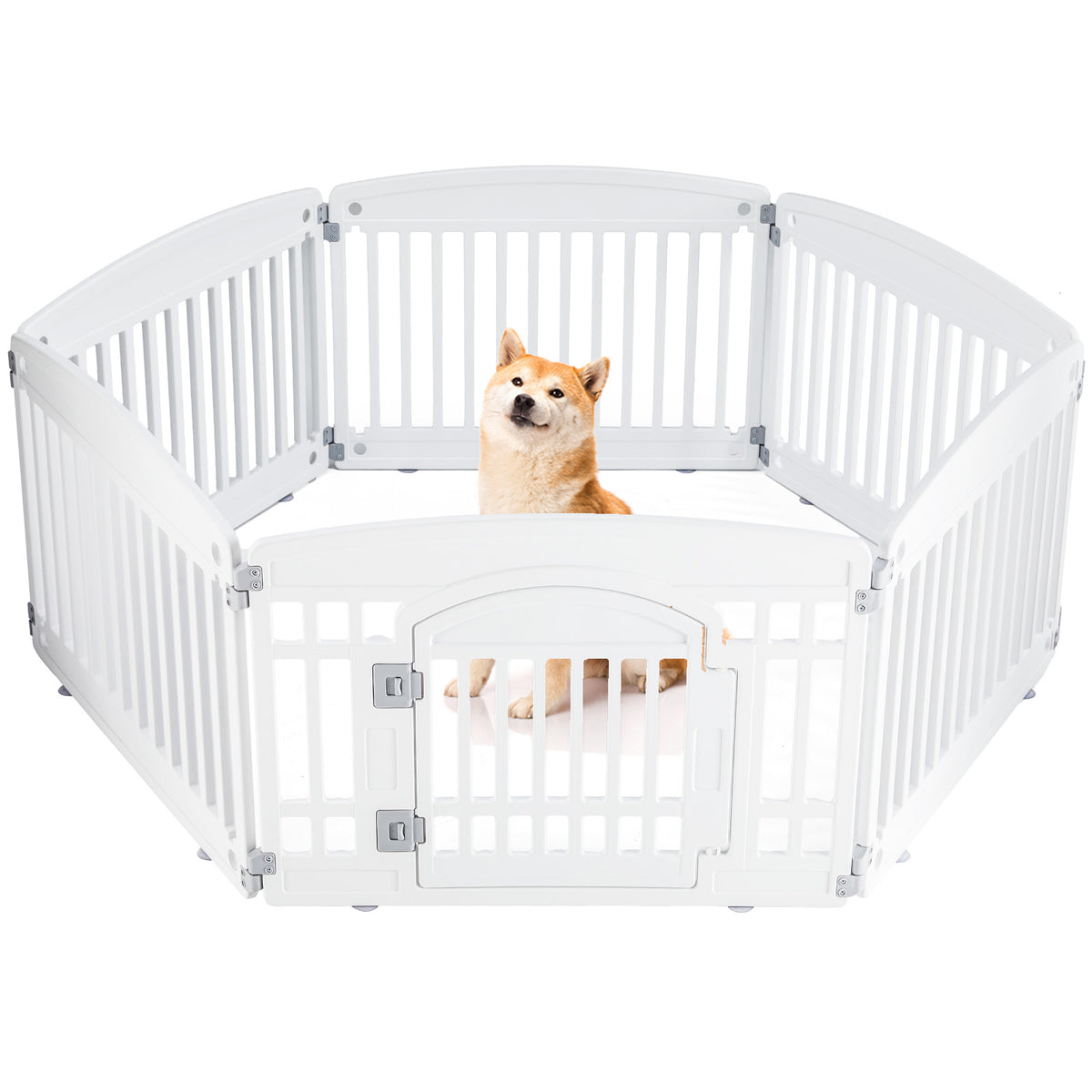 Dog inside a white pet playpen on a white background